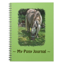 Shetland Pony Notebook Journal