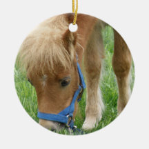 Shetland Pony Ornament