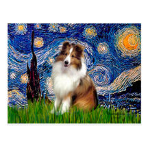 Shetland Sheepdog 4 - Starry Night Post Card