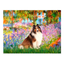 Shetland Sheepdog 7 - Garden Post Card