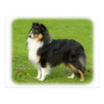 Shetland Sheepdog 9B055D-06 Post Cards