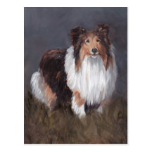 Shetland Sheepdog Dog Art Post Card