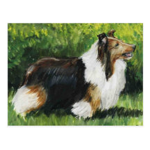 Shetland Sheepdog Dog Art Postcard
