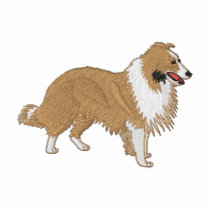 Shetland Sheepdog