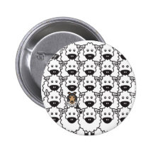 Shetland Sheepdog in the Sheep Pin