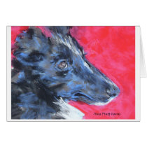 Shetland Sheepdog Notecard