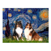Shetland Sheepdog Pair - Starry Night Postcard