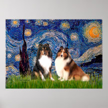 Shetland Sheepdog Pair - Starry Night Poster
