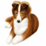 Shetland Sheepdog Pin Photo Cut Out