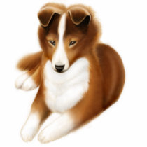 Shetland Sheepdog Pin Photo Cut Out