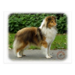 Shetland Sheepdog Postcards