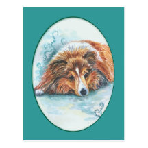 Shetland Sheepdog Postcards