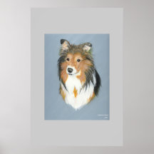 Shetland Sheepdog  Posters