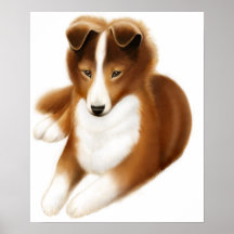 Shetland Sheepdog Print