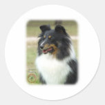 Shetland Sheepdog Round Sticker
