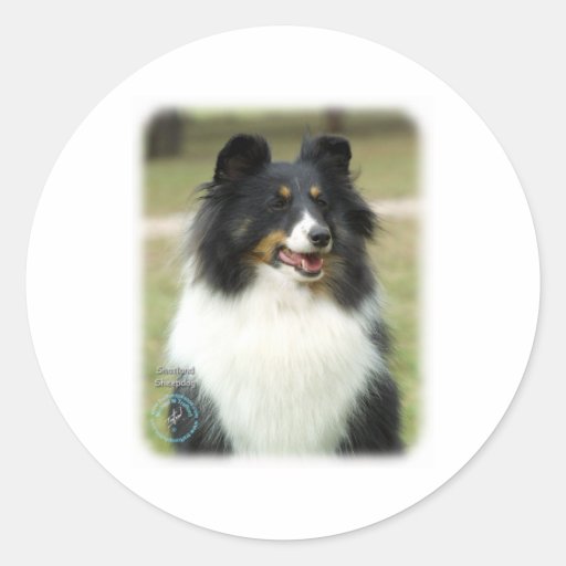 Shetland Sheepdog Round Stickers