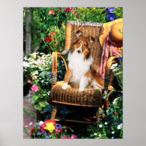 Shetland Sheepdog Sheltie Art Gifts Print