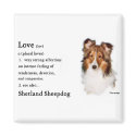 Shetland Sheepdog Sheltie Gifts magnets
