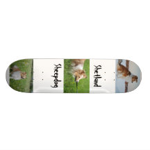 Shetland sheepdog skateboard