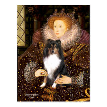Shetland Sheepdog (Tri11) - Queen Postcard