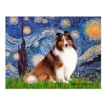 Shetlanld Sheepdog 7 - Starry Night Postcard