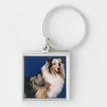 Shetlie (Merle) Keychains