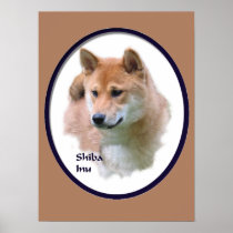 Shiba Inu Art Gifts Print