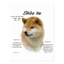Shiba Inu History Design Postcard