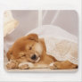 Shiba Inu puppy sleeping under a net curtain Mouse Pads