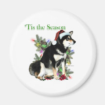 Shiba Inu ‘Tis Magnets