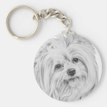 ShiChi Keychains