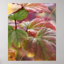 Shifting Focus Art Poster