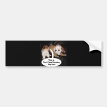 Shih Tzu and English Bulldog Puppys Bumper Stickers