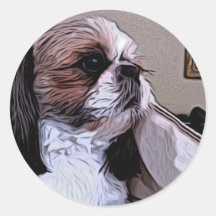 Shih Tzu Autocollants