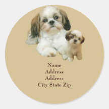 Shih Tzu Buddies Address Label Round Stickers