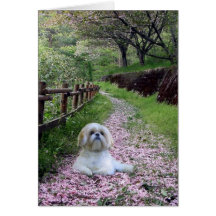 Shih Tzu Card Purple Flowers