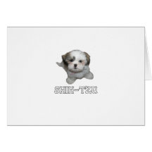 Shih-Tzu Cards
