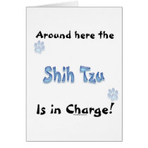 Shih Tzu Charge Cards