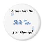 Shih Tzu Charge - Magnet