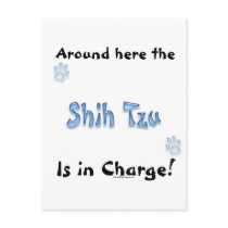 Shih Tzu Charge Post Card