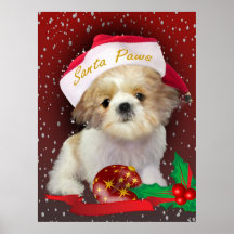 Shih Tzu  christmas Portrait Poster
