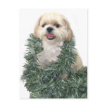 Shih Tzu Christmas postcards
