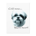 Shih Tzu Cold Nose Warm Heart Postcard