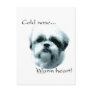 Shih Tzu Cold Nose Warm Heart Postcard