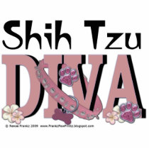 Shih Tzu DIVA