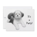 Shih Tzu Dog Invitation