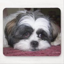 Shih Tzu Dog mousepads