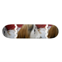 Shih Tzu Dog Skateboard