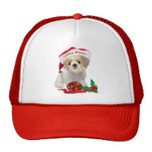 Shih Tzu Doll Santa Paws apparel Trucker Hats