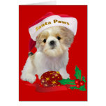 Shih Tzu doll xmasChristmas Cards